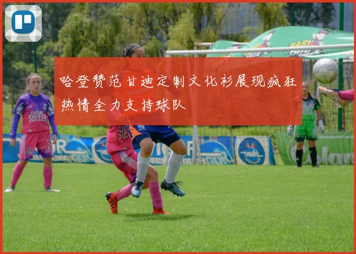 哈登赞范甘迪定制文化衫展现疯狂热情全力支持球队
