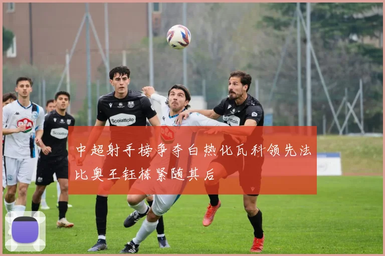 中超射手榜争夺白热化瓦科领先法比奥王钰栋紧随其后