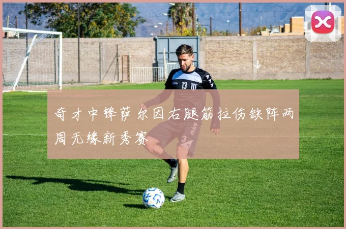 奇才中锋萨尔因右腿筋拉伤缺阵两周无缘新秀赛